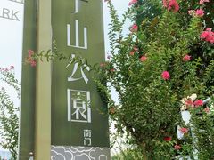 -望江楼公园