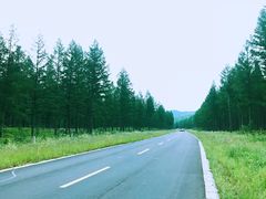 -塞罕坝国家级自然保护区