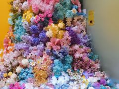 -莲花跑车(国贸商城店)