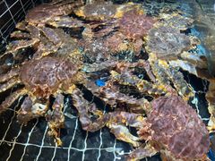 -宁海食府·涌宴(真和店)