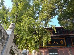 -宝通禅寺