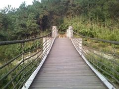 -铁山坪森林公园