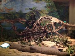 -自贡恐龙博物馆