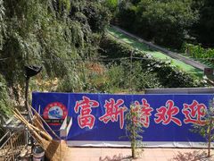 -富斯特索道