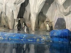 -中央电视塔旋转餐厅