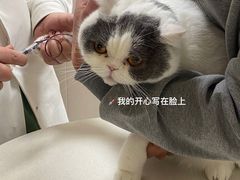 -瑞鹏宠物医院·超声·骨科·奇麟分院(蜀都万达店)