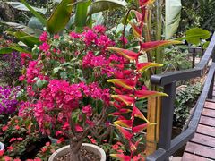 -中国科学院西双版纳热带植物园