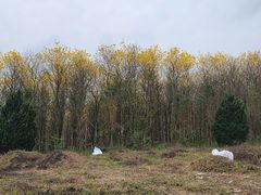 -浈阳坊旅游小镇