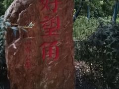 -上海市保健医疗中心