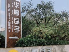 -华夏良子·足道SPA艾灸(山东大厦店)