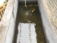 -何适山庄 ·可团建(水长城P2停车场店)