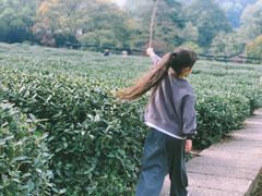 -中国茶叶博物馆(双峰馆区)