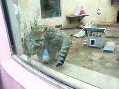 -青藏高原野生动物园