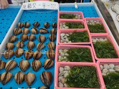 -南沙十九涌渔人码头-南门