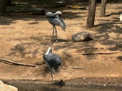 -鄂尔多斯野生动物园