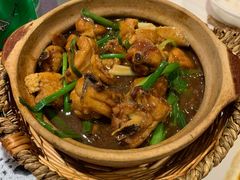 -熠盛粤味·顺德桑拿鸡(永康路店)