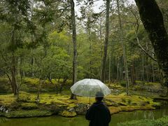 -西芳寺(苔寺)