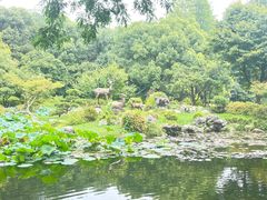 -杭州植物园