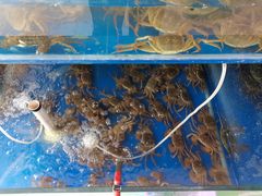 -阳澄湖大闸蟹·琼灵阁牌品牌连锁(吴中总店)