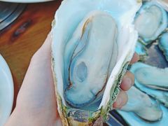 原只蒸生蚝-蚝得喜海鲜(东城店)