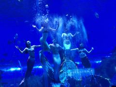 -石家庄市动物园