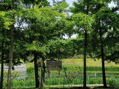-大望京公园