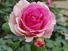 -人民公园(罗湖区)