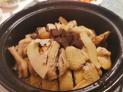 清炖鸡-花城苑广府菜(侨鑫店)