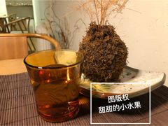 -柴务处·柴犬主题狗咖