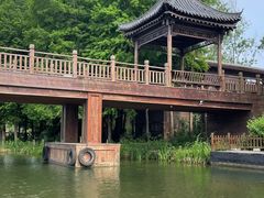 -溱湖国家湿地公园