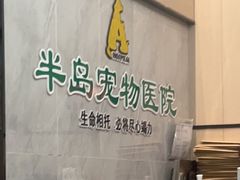 -半岛宠物医院24小时(科华中路店)