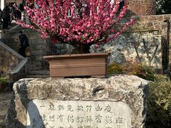 -无锡梅园公园