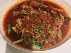 -眉州东坡(春秀路店)