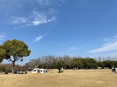 -上海滨江森林公园
