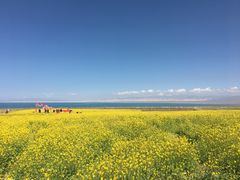 -青海湖国家重点风景名胜区