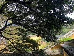 -普陀山风景区-佛顶山