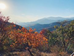 -北京西山国家森林公园
