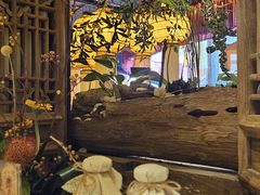 -叶叶菩提·晋福宫