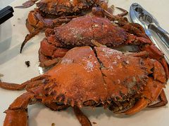 -广东名门