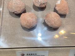 -烟台市博物馆