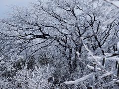 -梵净山旅游区