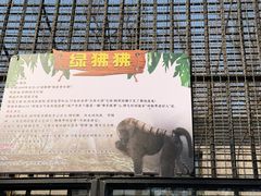-保定市动物园