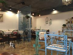 大堂-共舞时光猫咖·狗咖(新街口店)