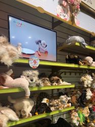 点击看大图 -哈姆雷斯(王府井百货大楼店)