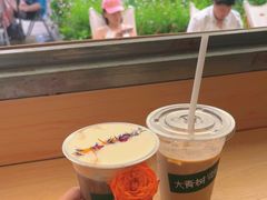 -大青树咖啡(大理古城店)