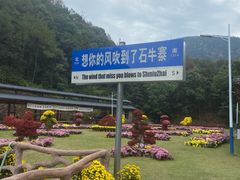 -浏阳石牛寨风景区