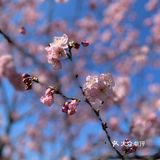 万物自有它的季节，耕种、锄草，花开时看花