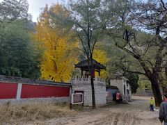 -青州仰天山