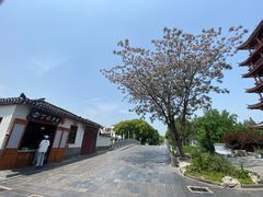 -开福禅寺