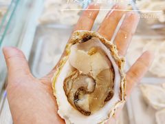 -蚝英雄·鲜蚝自助专门店(洋桥店)